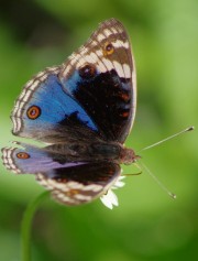 H-GALLERY-6