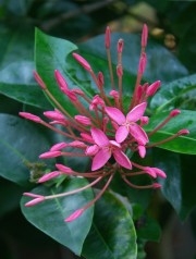 H-GALLERY-9